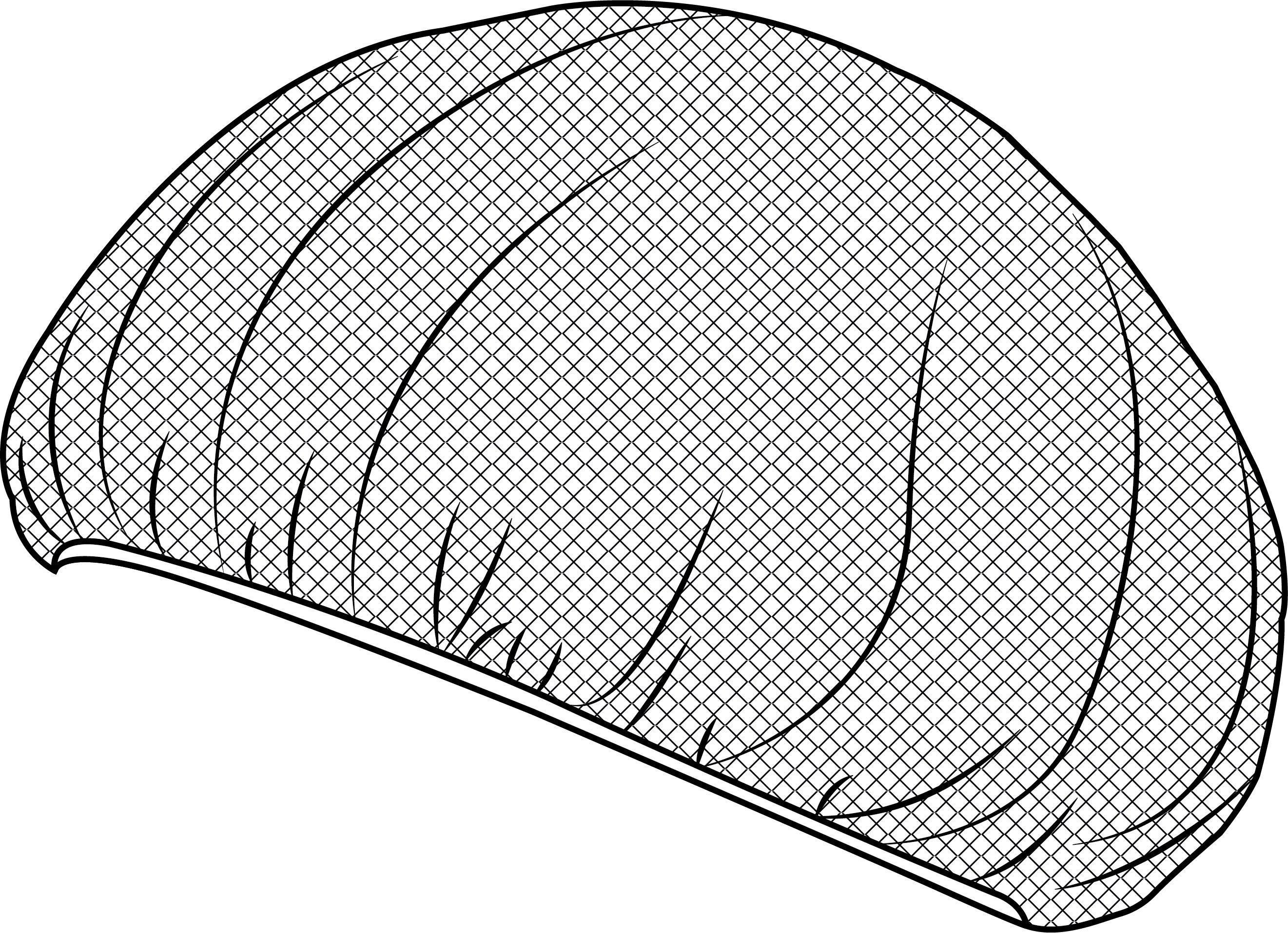 GORRO DE REJILLA (Paq. 10 uds.) - Image 5